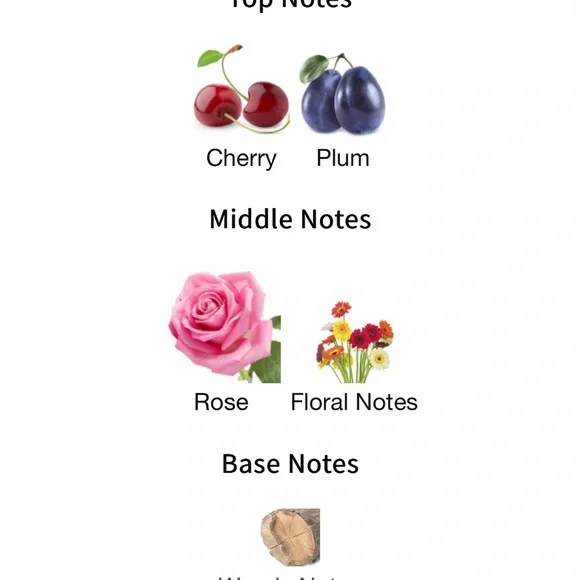 Zara Rose Temeraire Perfume - Picture 2 of 2